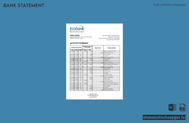 Beispiel-Excel-Vorschau eines Kontoauszugs der Chad Ecobank